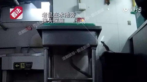 外賣,正在毀滅中國三代人,臥底拍下可怕真相